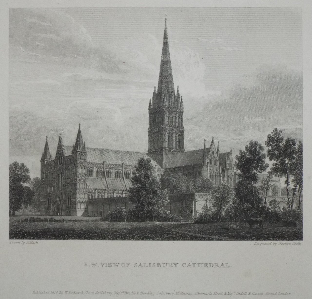 Print - S. W. View of Salisbury Cathedral. - Cooke